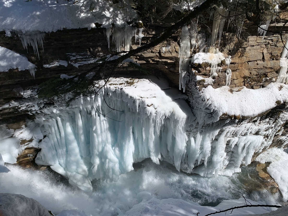 f:id:tripadviser:20200508154122j:plain