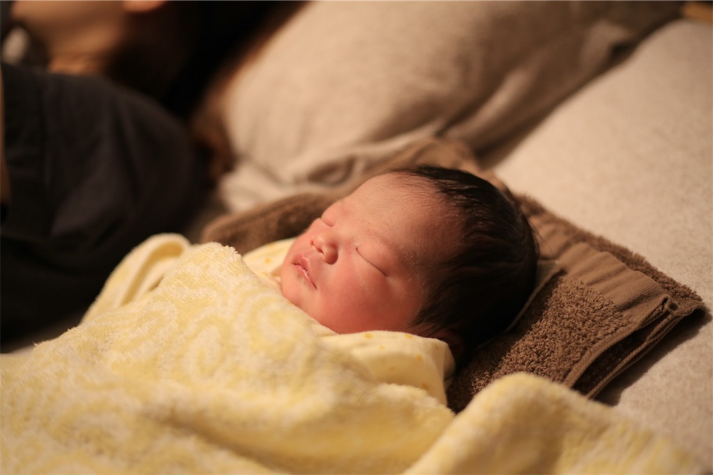f:id:triple3kids:20190112230136j:image f:id:triple3kids:20190112230136j:image