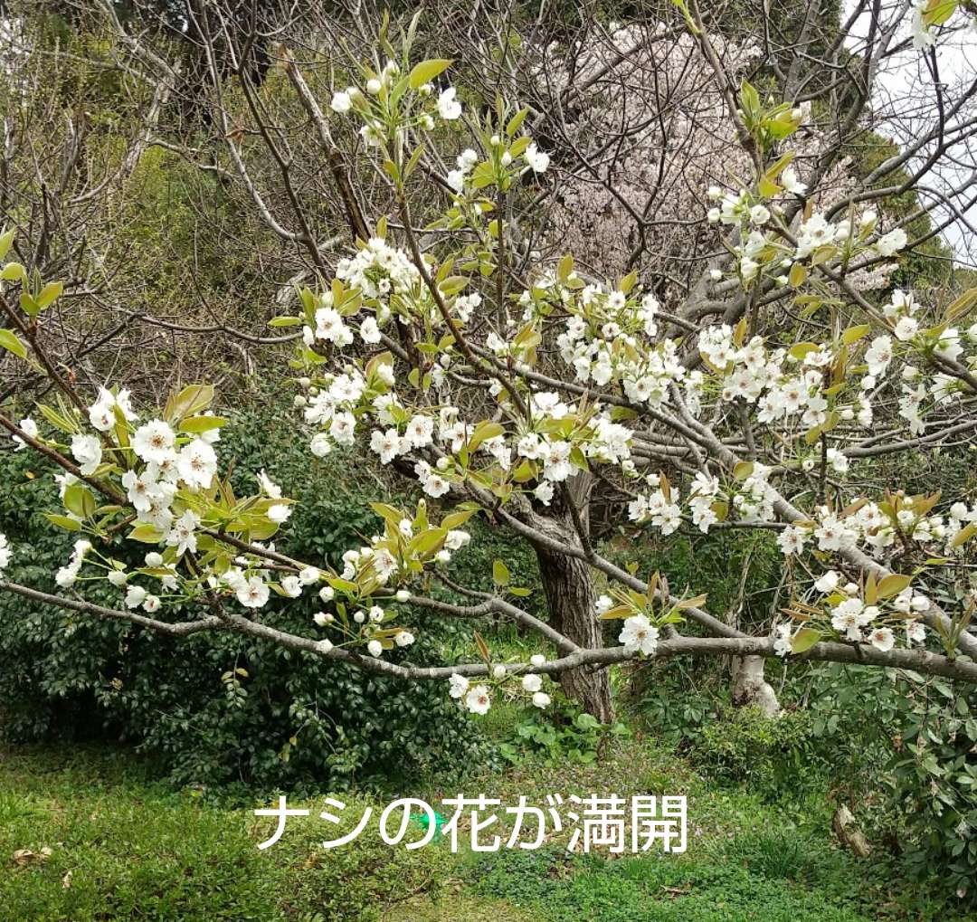 f:id:triple888:20220405122516j:plain