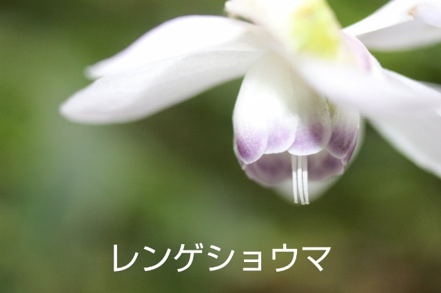 f:id:triple888:20230821092304j:image f:id:triple888:20230821092304j:image