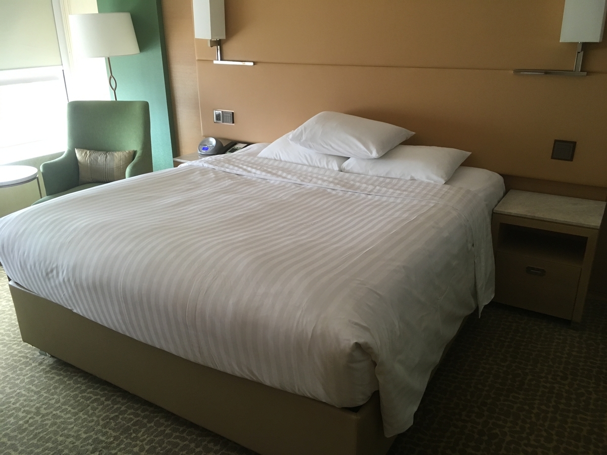 f:id:tripmiler:20190519141524j:plain f:id:tripmiler:20190519141524j:plain