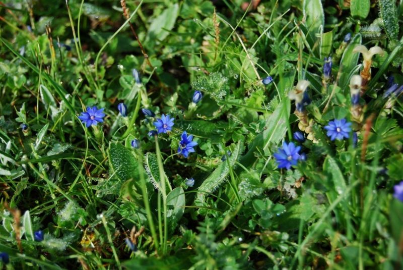 f:id:tripmyself:20171126021256j:plain f:id:tripmyself:20171126021256j:plain