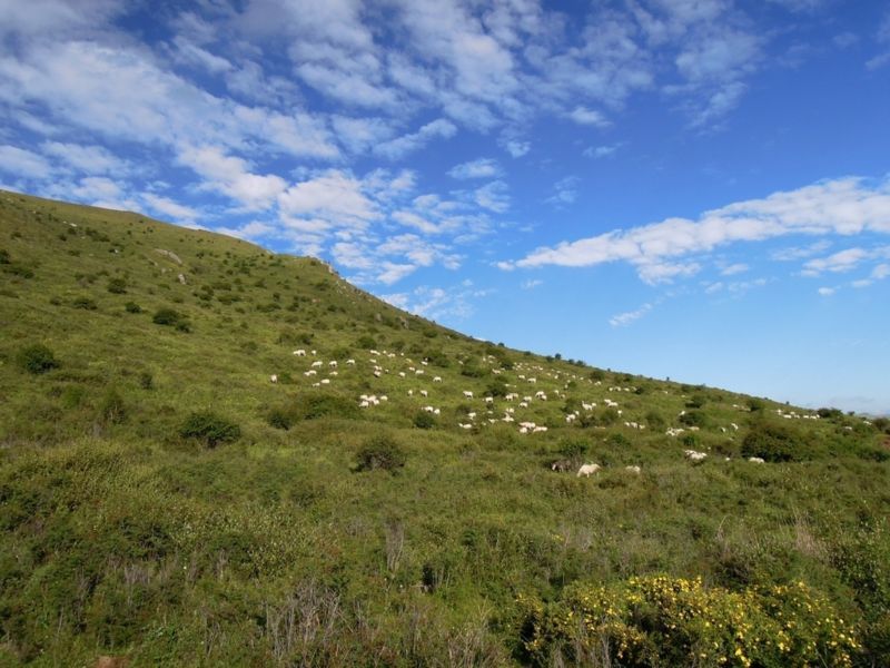 f:id:tripmyself:20171126021300j:plain f:id:tripmyself:20171126021300j:plain