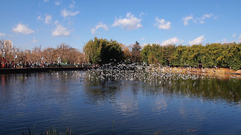 f:id:tripmyself:20180122184136j:plain