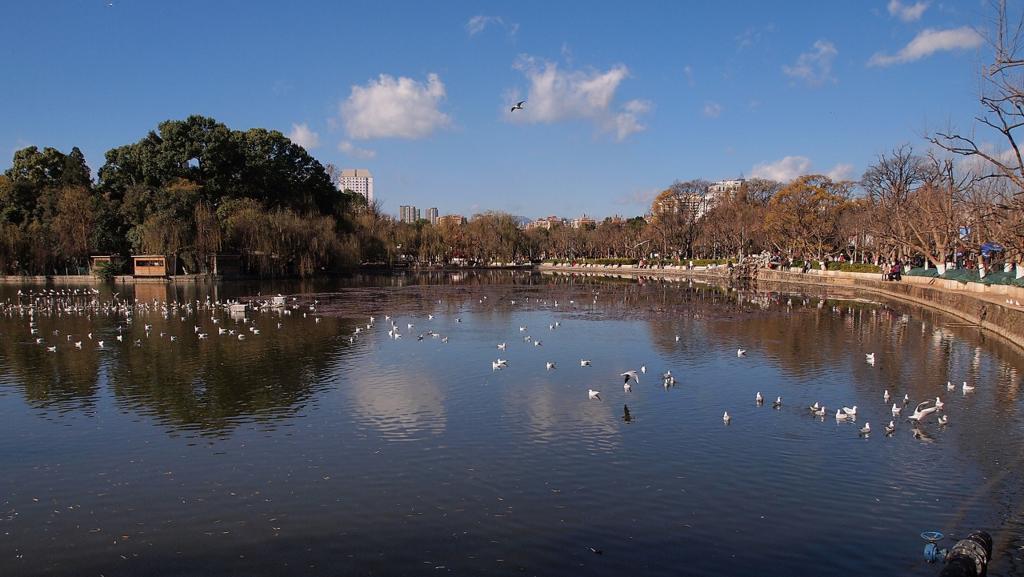 f:id:tripmyself:20180122184247j:plain