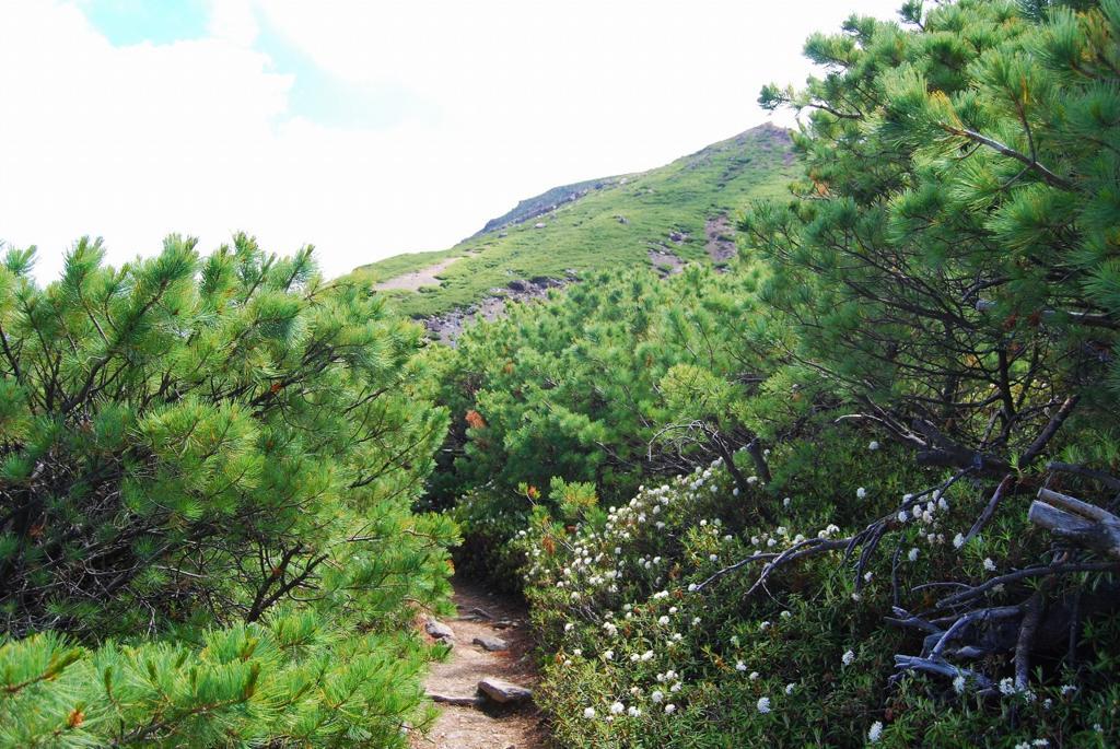 f:id:tripmyself:20180319233429j:plain f:id:tripmyself:20180319233429j:plain