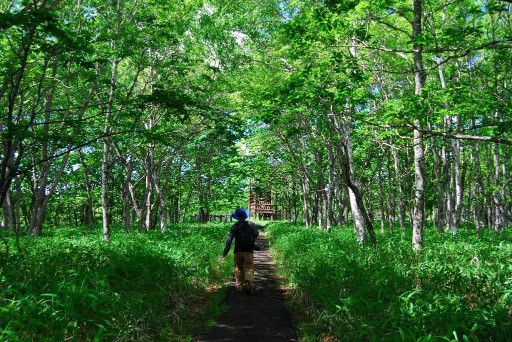 f:id:tripmyself:20180415114441j:plain