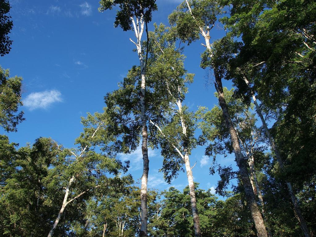 f:id:tripmyself:20180901122543j:plain f:id:tripmyself:20180901122543j:plain