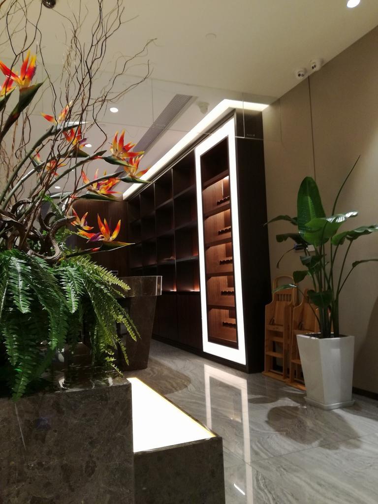 f:id:tripmyself:20190114145142j:plain