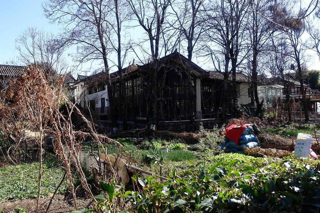 f:id:tripmyself:20190211144611j:plain