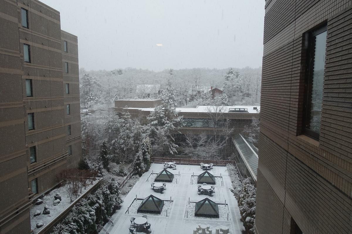 f:id:tripmyself:20190317135822j:plain