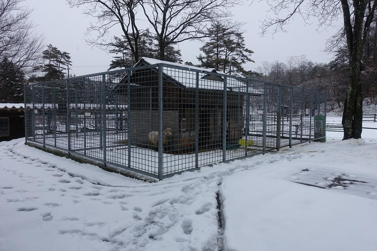 f:id:tripmyself:20190317141027j:plain