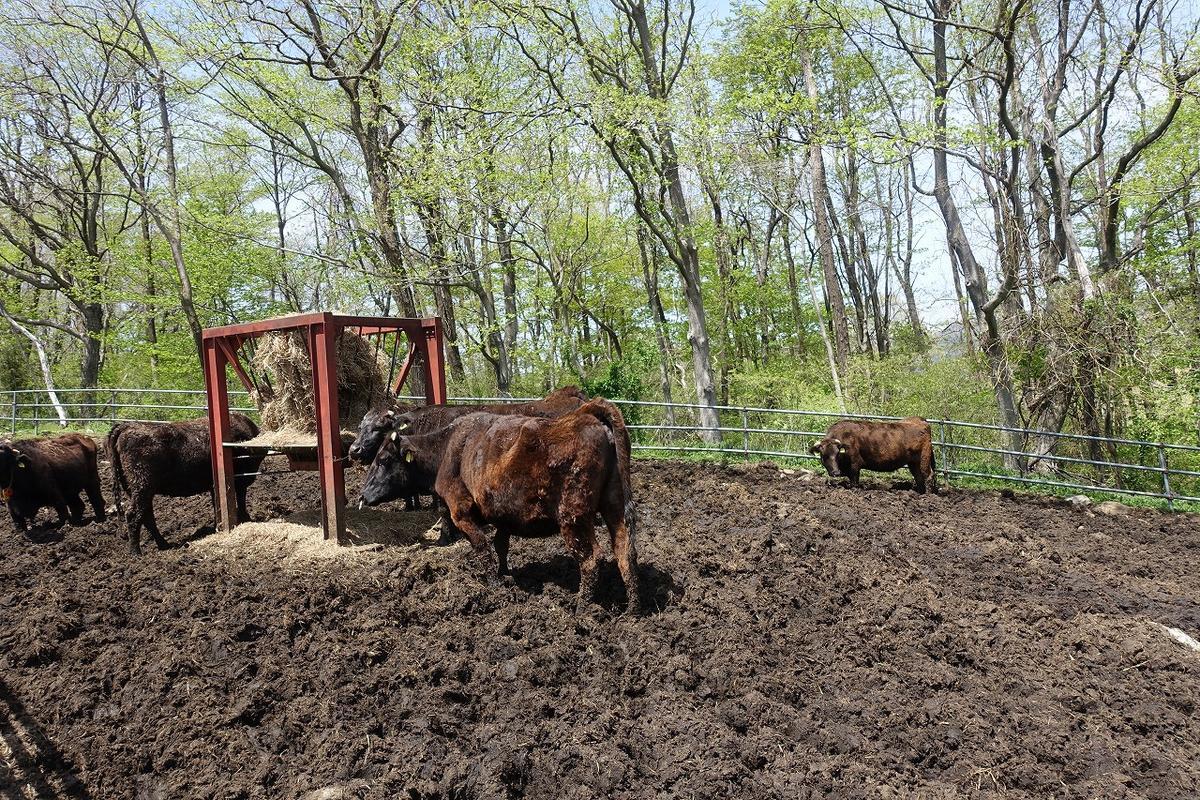 f:id:tripmyself:20190506223043j:plain f:id:tripmyself:20190506223043j:plain