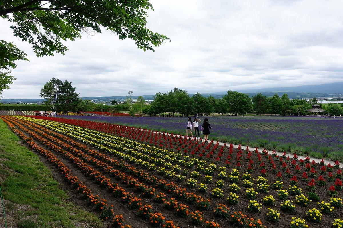 f:id:tripmyself:20190730222739j:plain