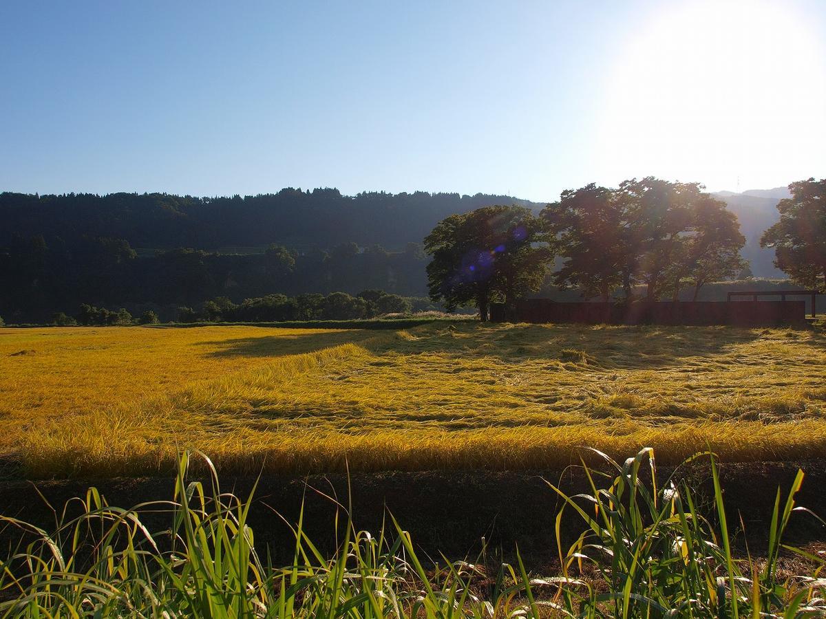 f:id:tripmyself:20190905225139j:plain