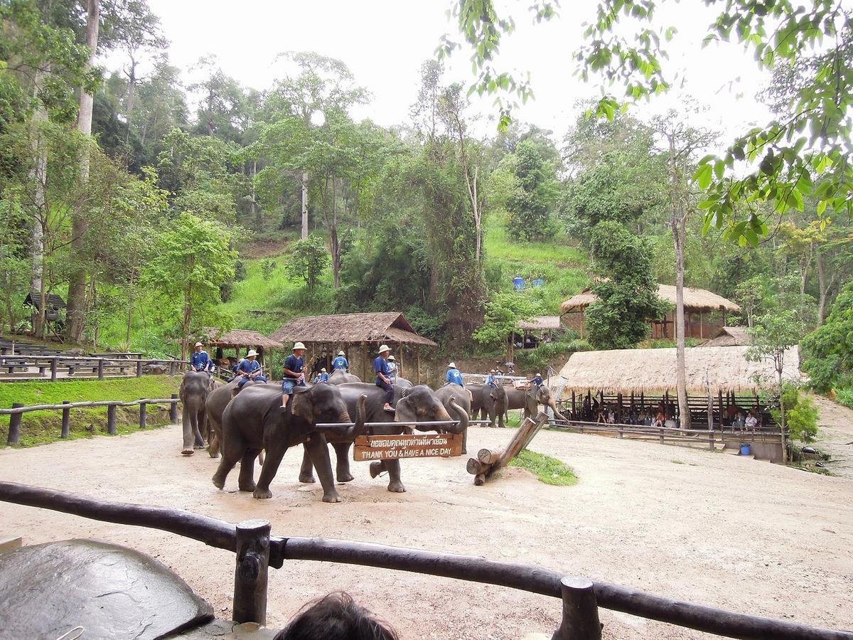 f:id:tripmyself:20190924082149j:plain