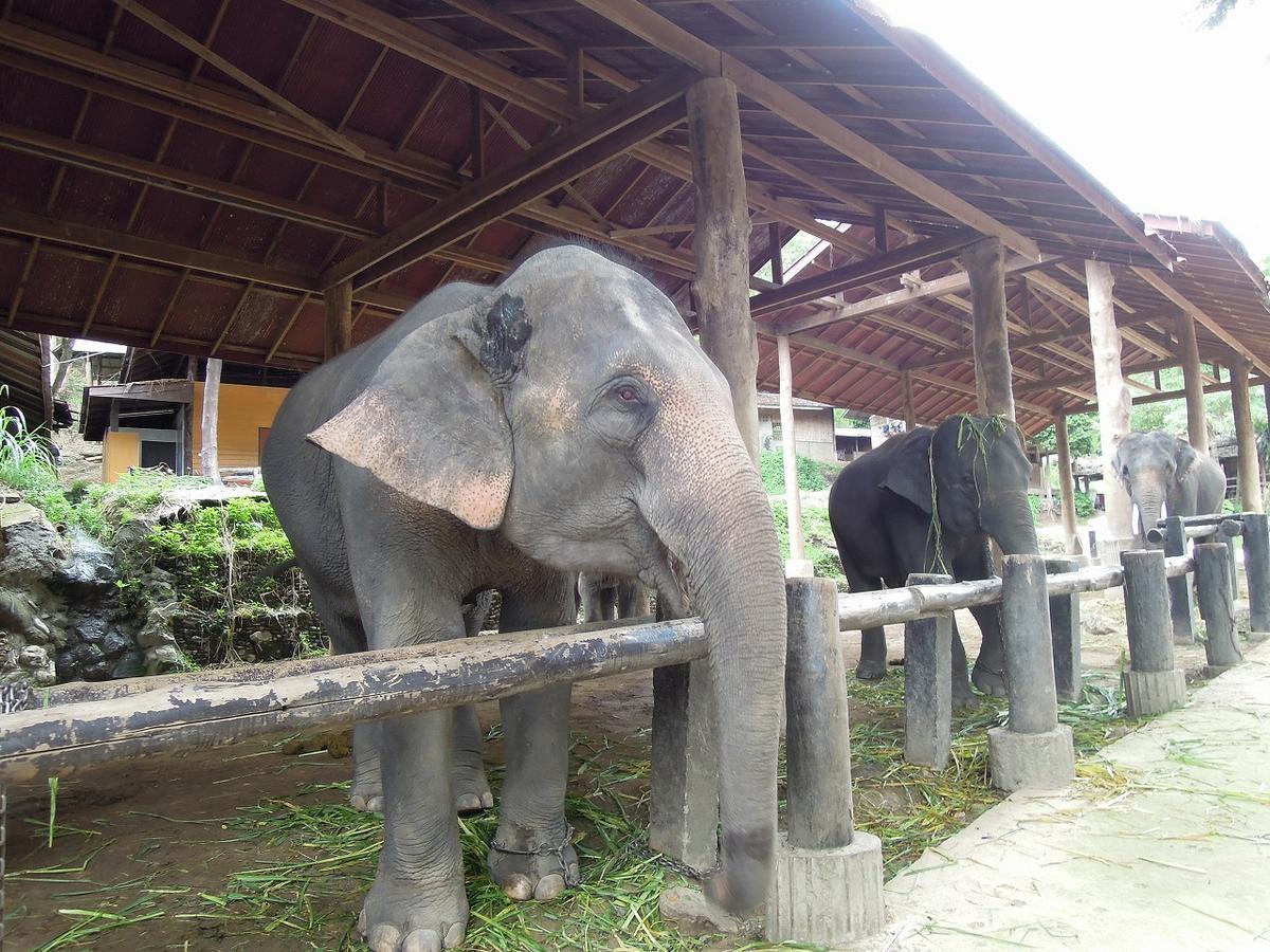 f:id:tripmyself:20190924082235j:plain