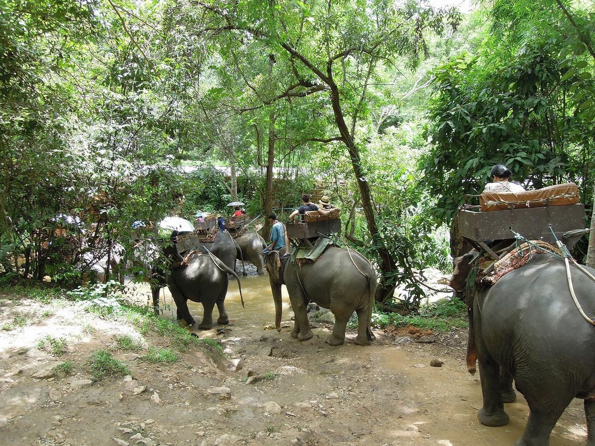 f:id:tripmyself:20190924082301j:plain