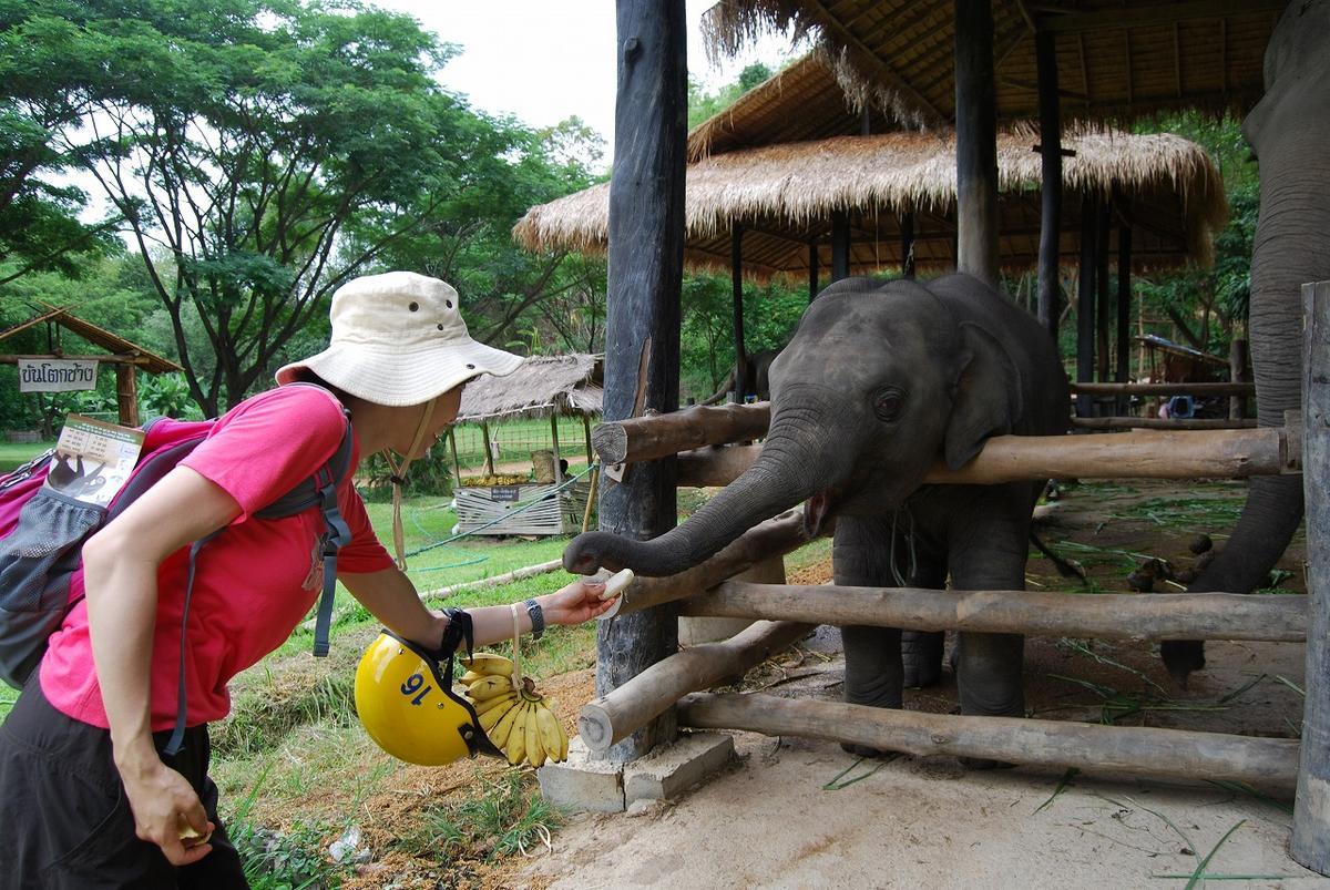 f:id:tripmyself:20190928103936j:plain