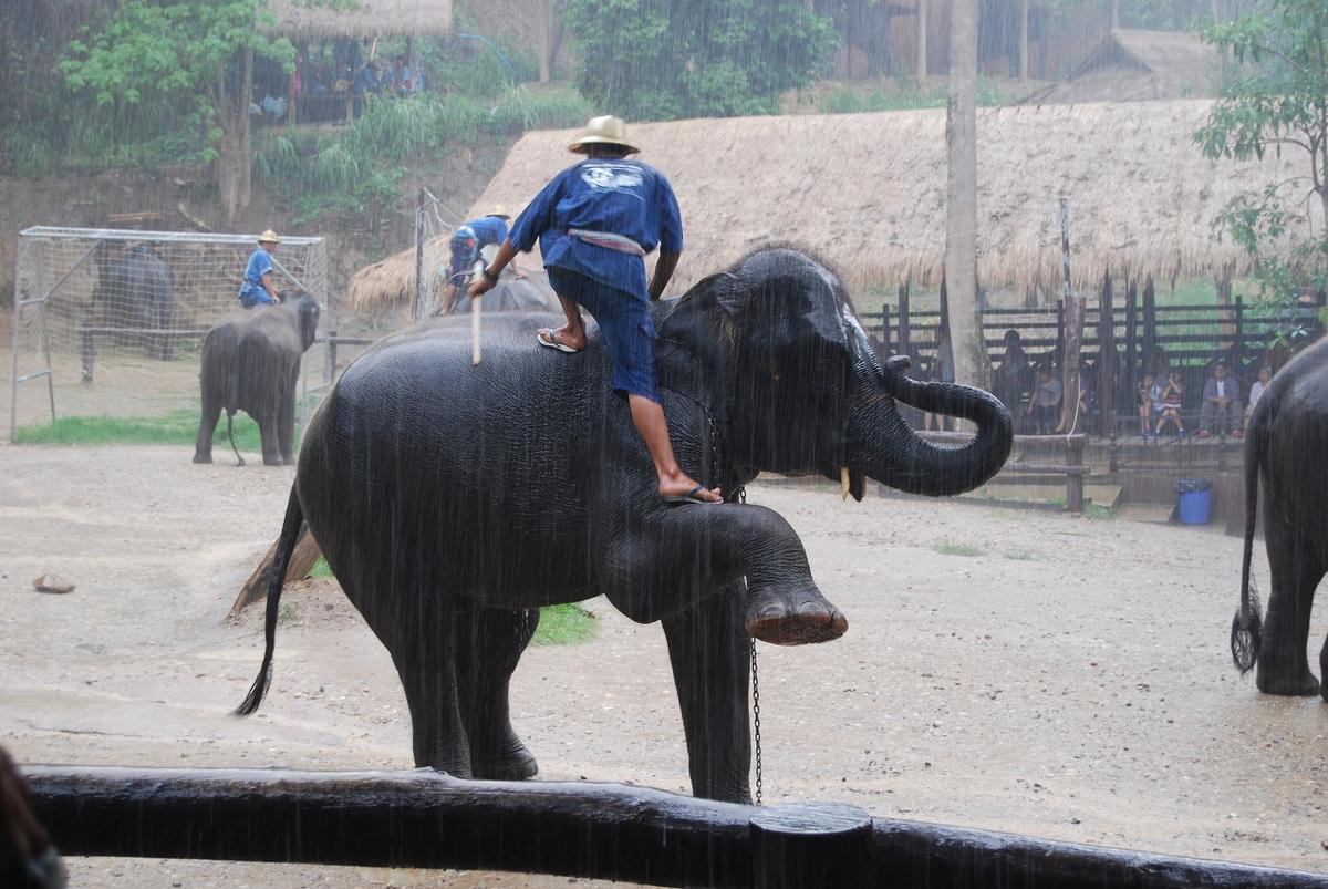 f:id:tripmyself:20190928104307j:plain