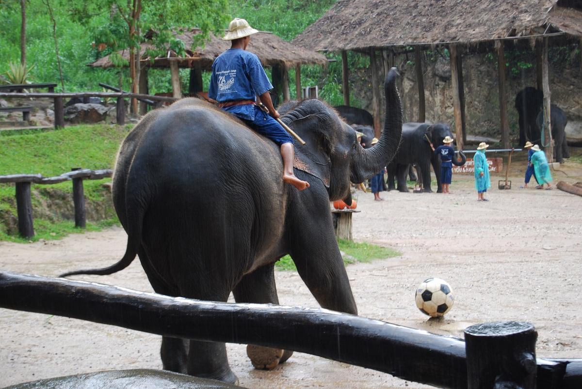 f:id:tripmyself:20190928104328j:plain