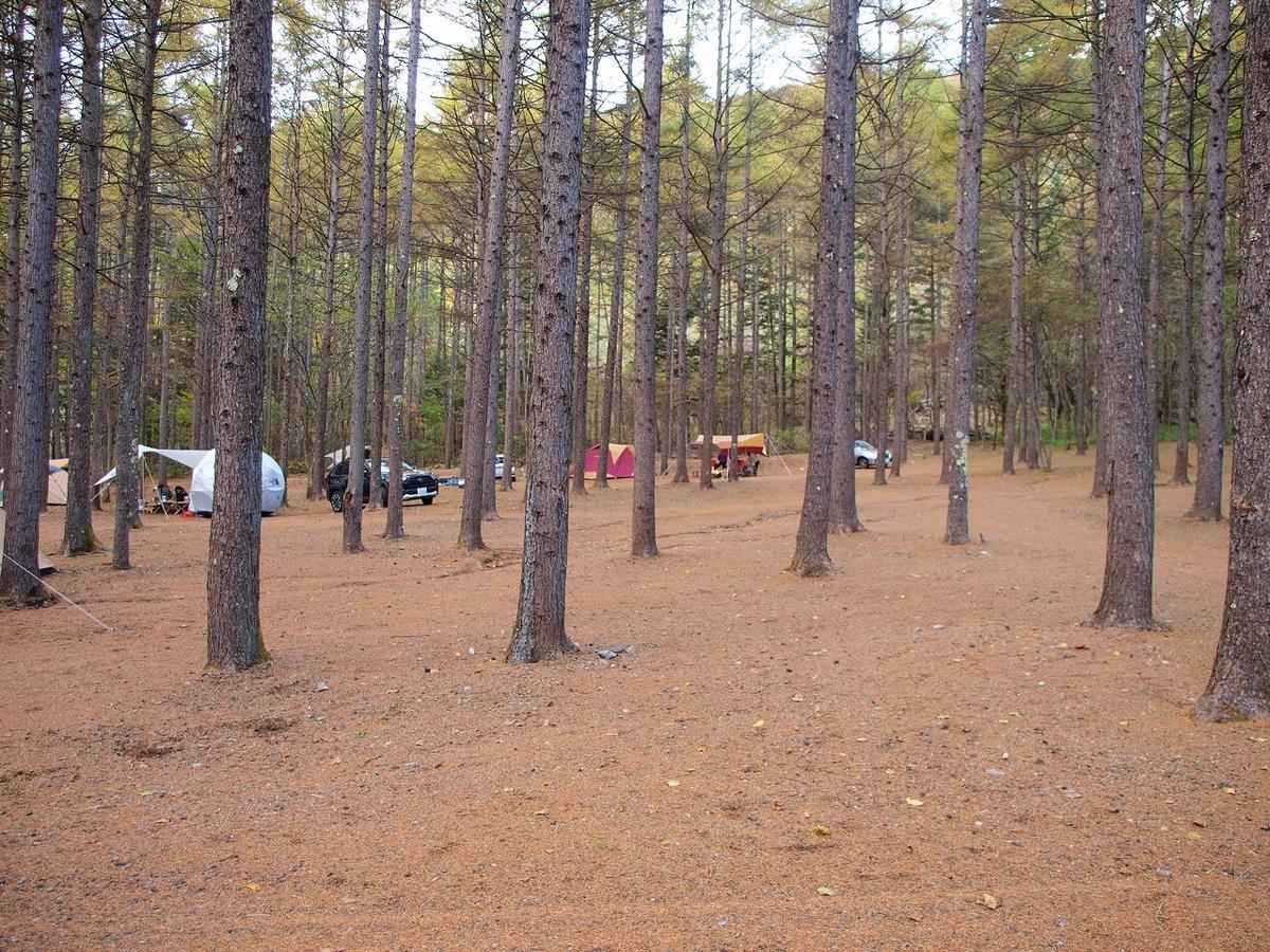 ブログ 軽井沢のアウトサイドベースのフリーサイトで自然いっぱいのキャンプ Trip By Myself