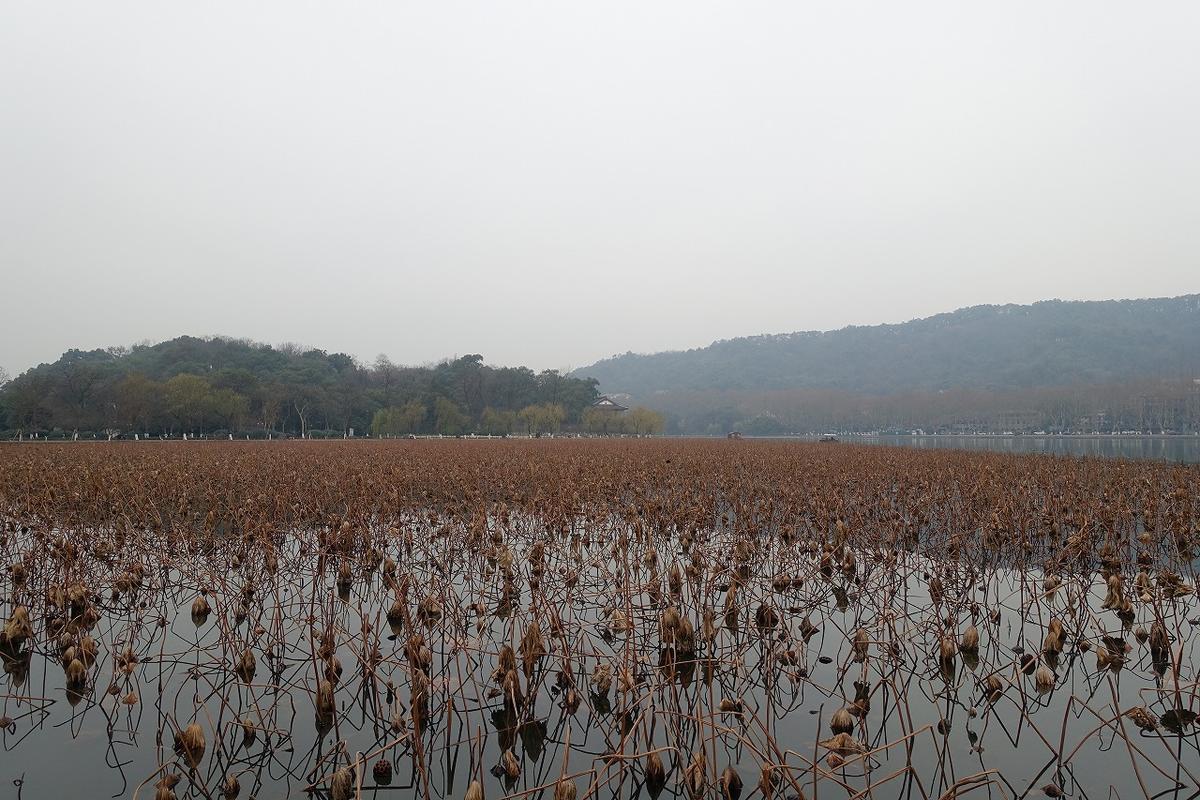 f:id:tripmyself:20210701104818j:plain