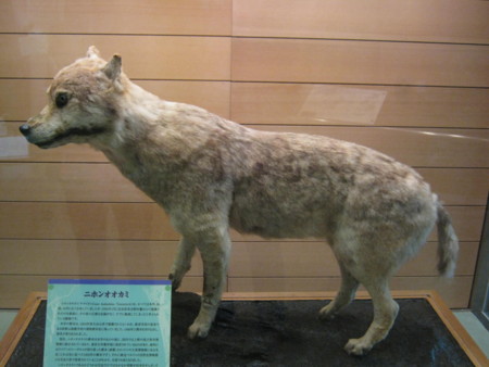 f:id:trivial:20100111102854j:image