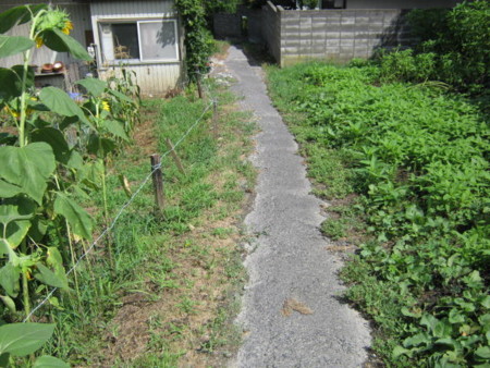 f:id:trivial:20100813134627j:image f:id:trivial:20100813134627j:image