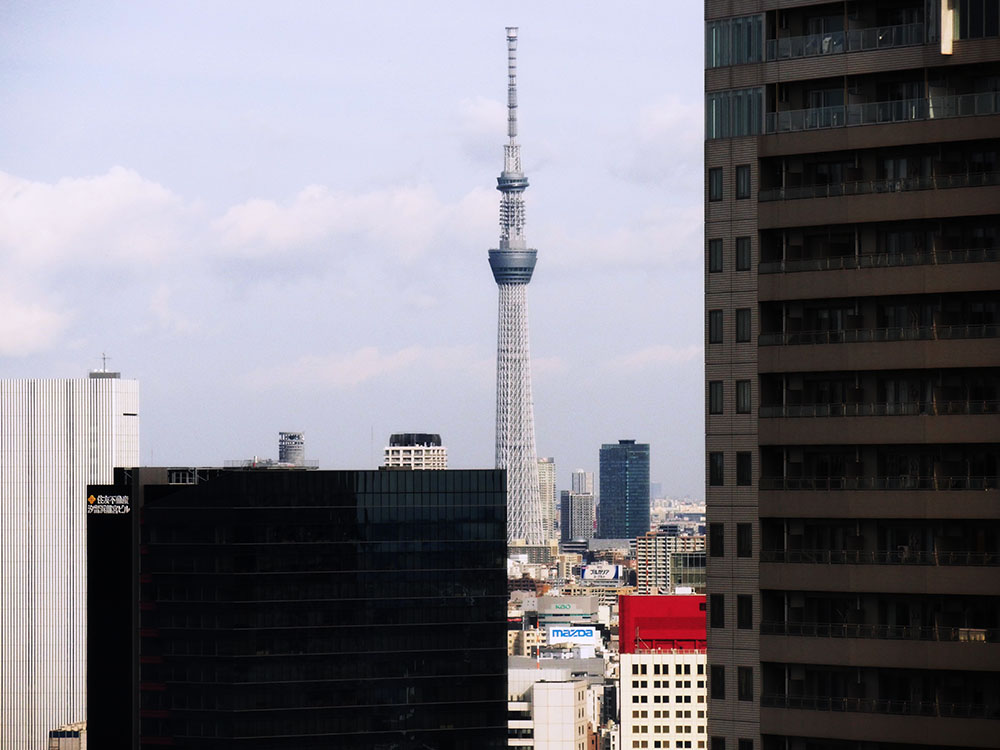 f:id:trn_t_kobari:20151228085120j:plain f:id:trn_t_kobari:20151228085120j:plain
