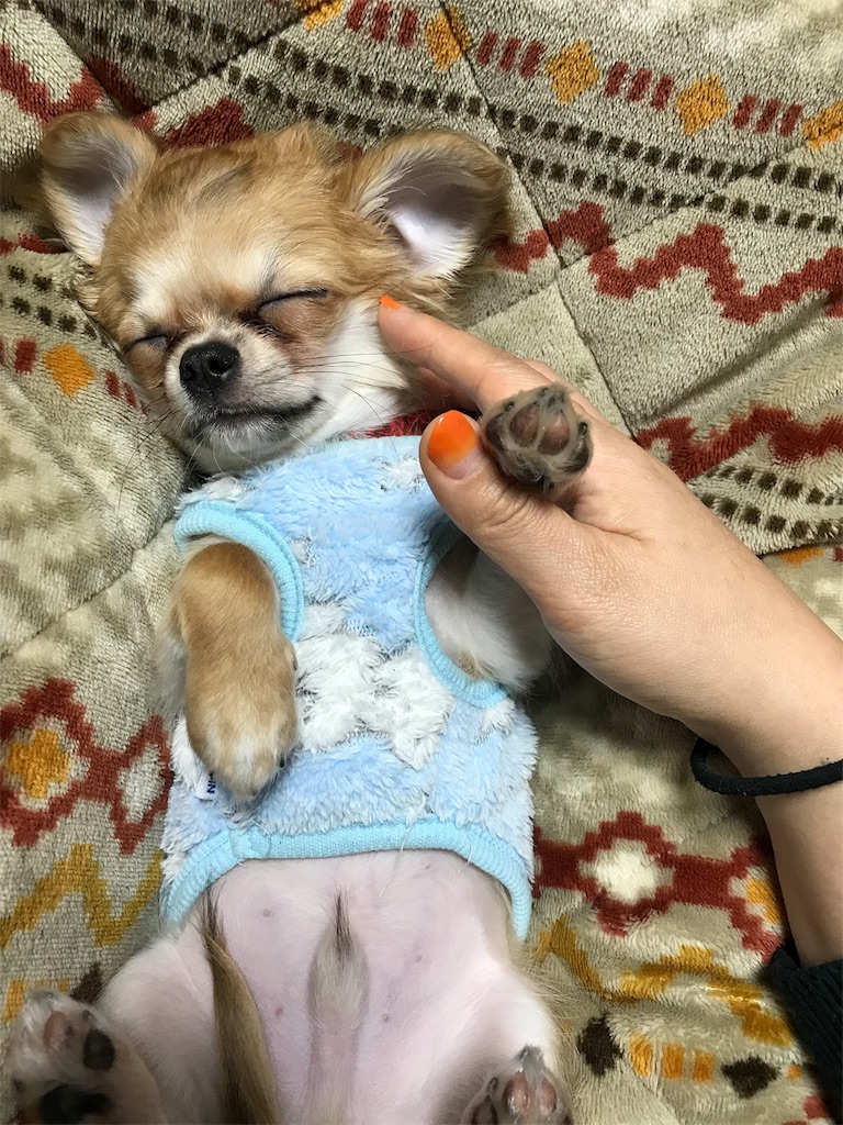 f:id:troas:20190311195950j:image