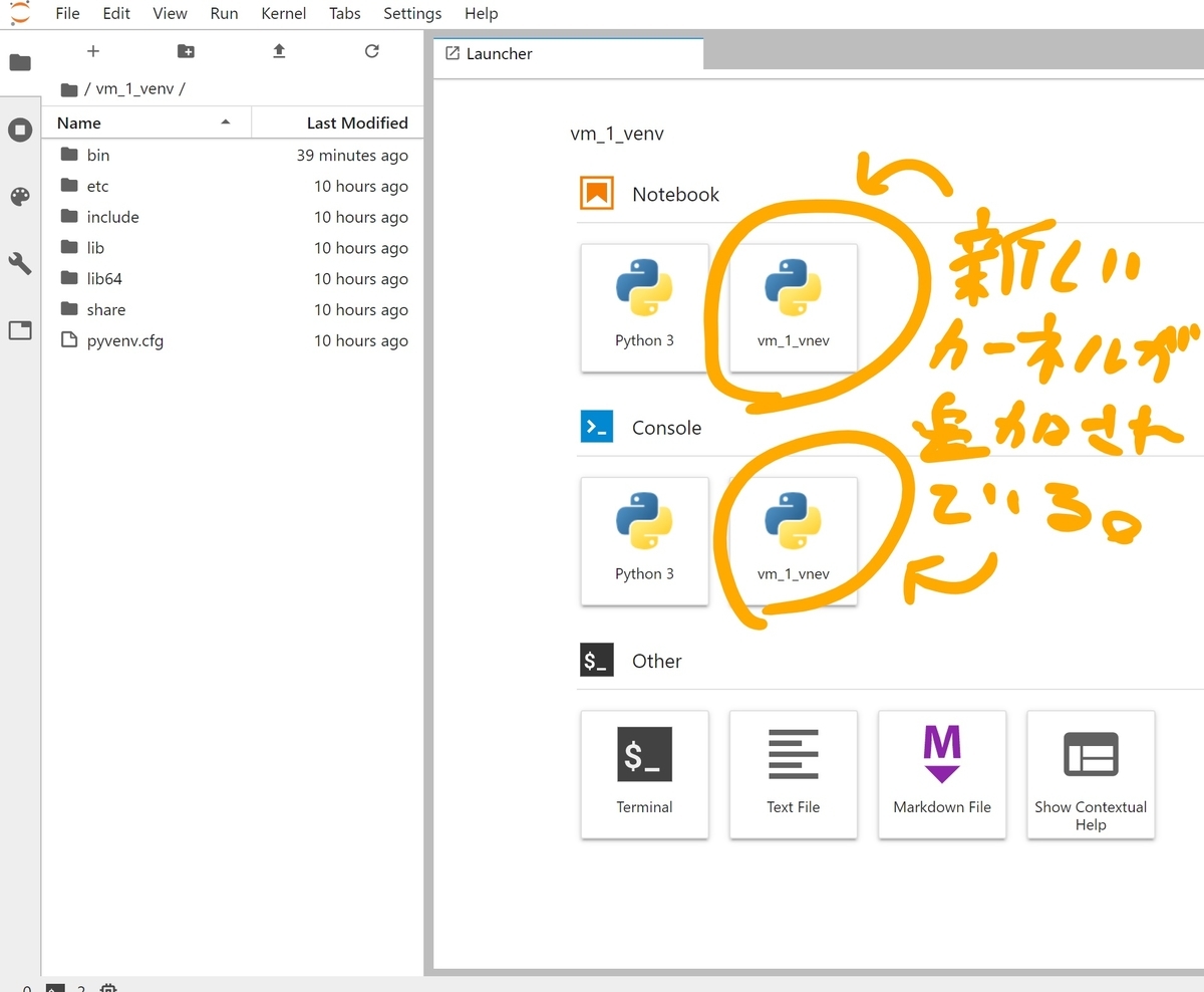 f:id:tropicbird:20191103203548j:plain f:id:tropicbird:20191103203548j:plain