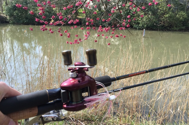 バス釣り トラウト 湖、渓流釣り ミノー ルアー ワカサギルアー