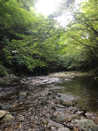 f:id:trout_design:20191104134452j:image