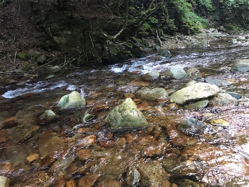 f:id:trout_design:20191104134731j:image
