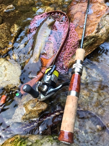 f:id:trout_design:20191104134807j:image