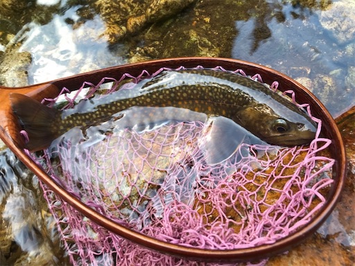 f:id:trout_design:20191104135032j:image