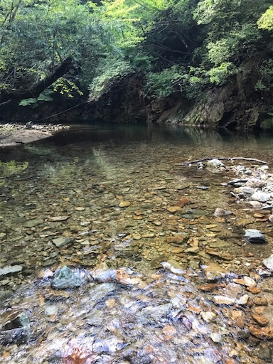 f:id:trout_design:20191104135036j:image