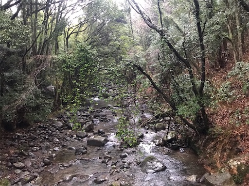 f:id:trout_design:20200331083149j:image f:id:trout_design:20200331083149j:image