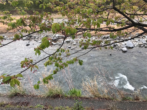 f:id:trout_design:20200331083315j:image f:id:trout_design:20200331083315j:image