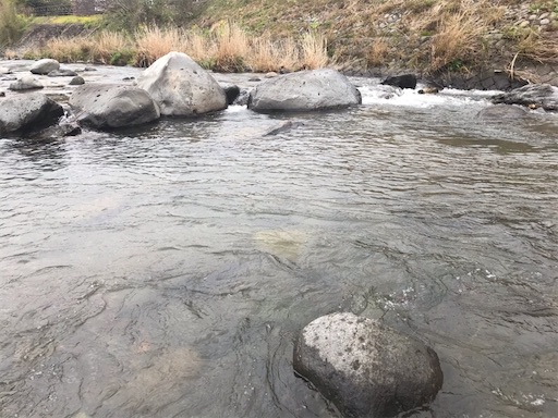 f:id:trout_design:20200331121138j:image f:id:trout_design:20200331121138j:image