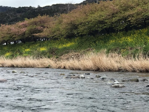 f:id:trout_design:20200331121541j:image f:id:trout_design:20200331121541j:image