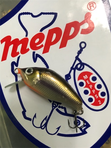 f:id:trout_design:20200717200019j:plain