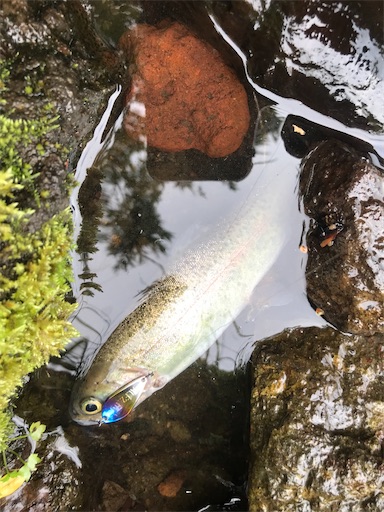 f:id:trout_design:20200717200217j:plain