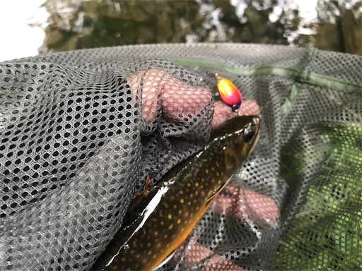 f:id:trout_design:20200717200221j:plain