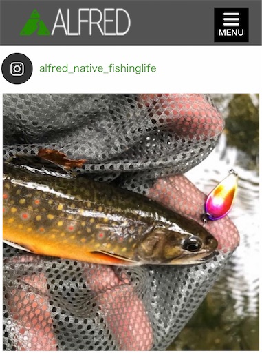 f:id:trout_design:20200730144903j:plain