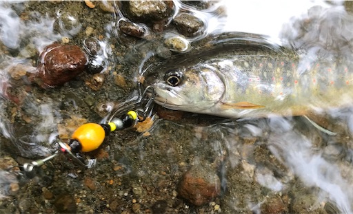 速報 釣り遠征１日目 奥日光湯川のブルックトラウト Duranのトラウトルアー釣行記