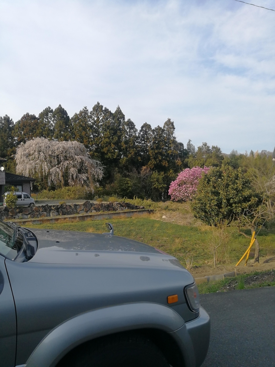 f:id:troutist:20210327014808j:plain