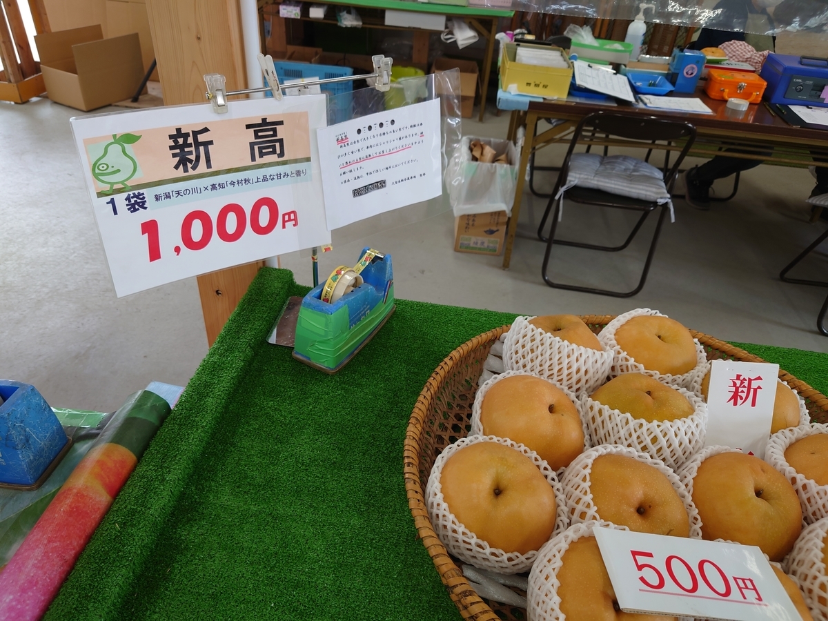 f:id:troutist:20211008034337j:plain