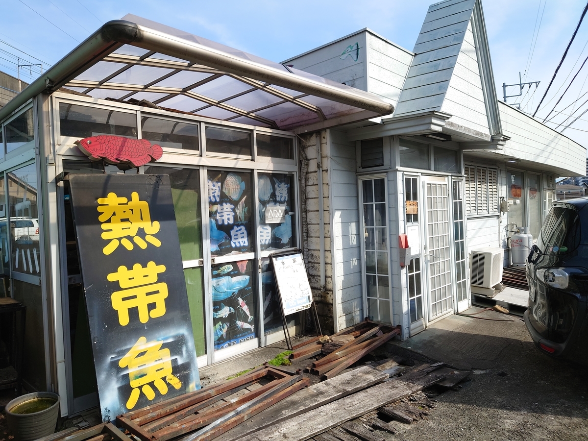 追悼 ありがとうおじさん 高崎の老舗熱帯魚ショップ 駒草園は閉店していました テラノレグラスのブログ Since
